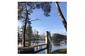 Un jour en novembre Le lac de Condé dans le parc de l’Astrée  Fabienne Allegaert